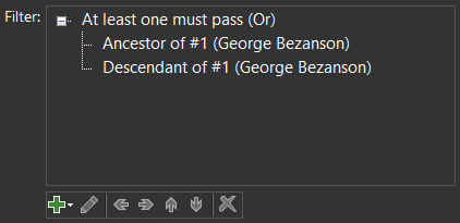 Screenshot of Filter Terms screenshot of filter terms showing two terms under an OR term